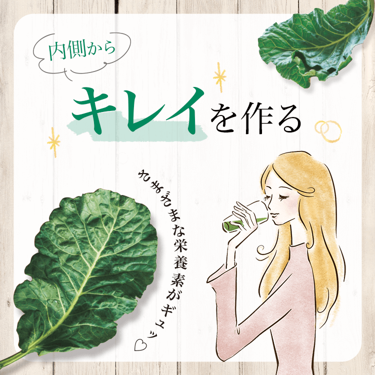 ファンケルクリップのサムネイル