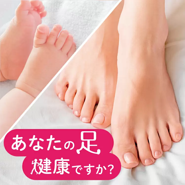 ファンケルクリップのサムネイル