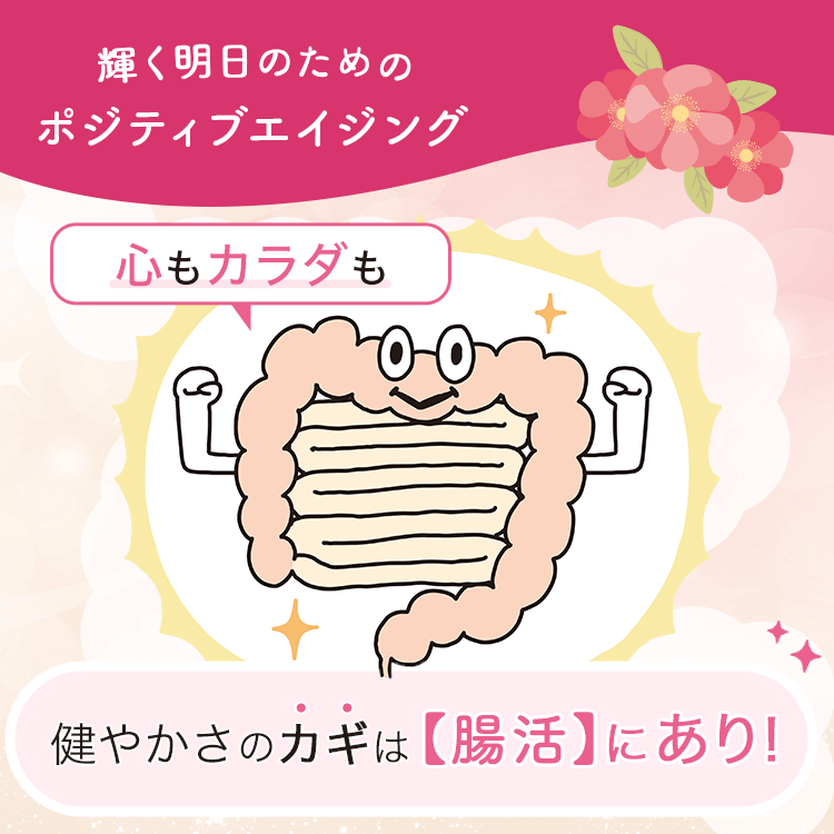 ファンケルクリップのサムネイル