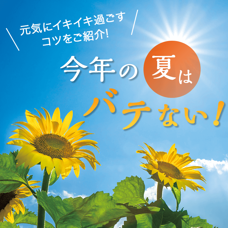 ファンケルクリップのサムネイル