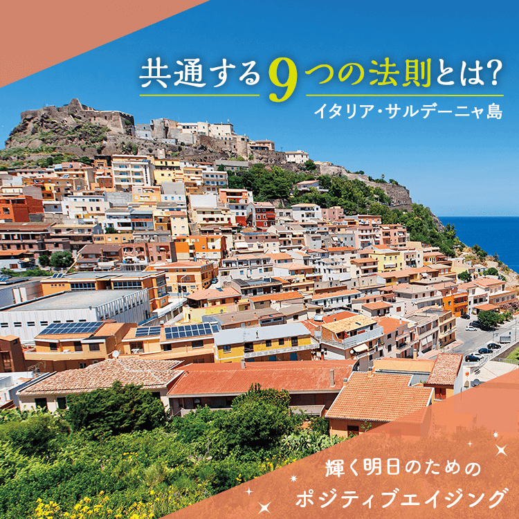 ファンケルクリップのサムネイル