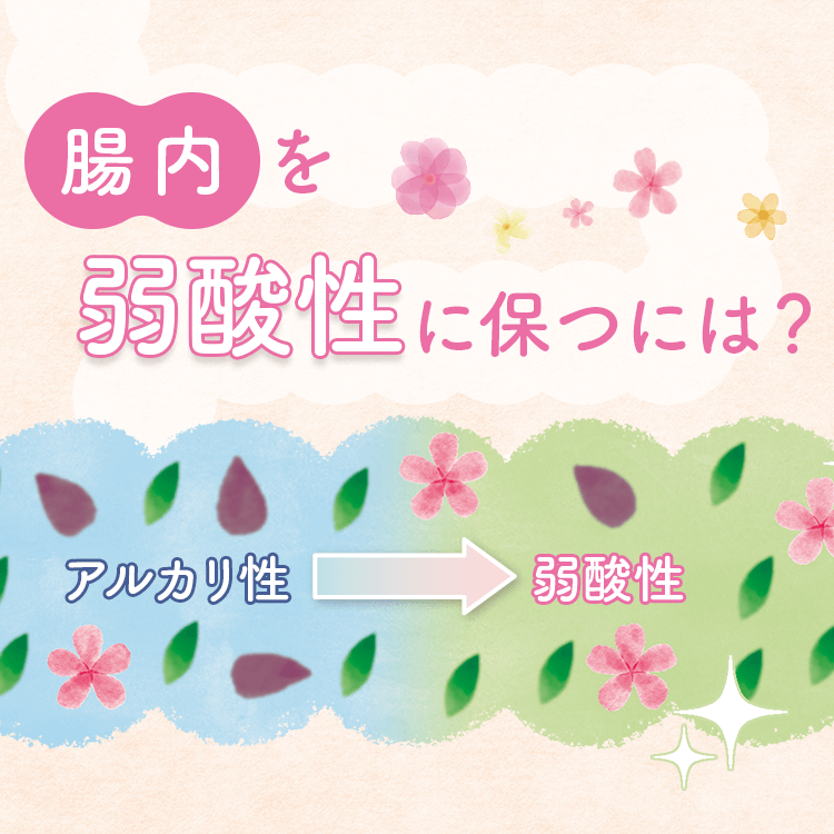 ファンケルクリップのサムネイル