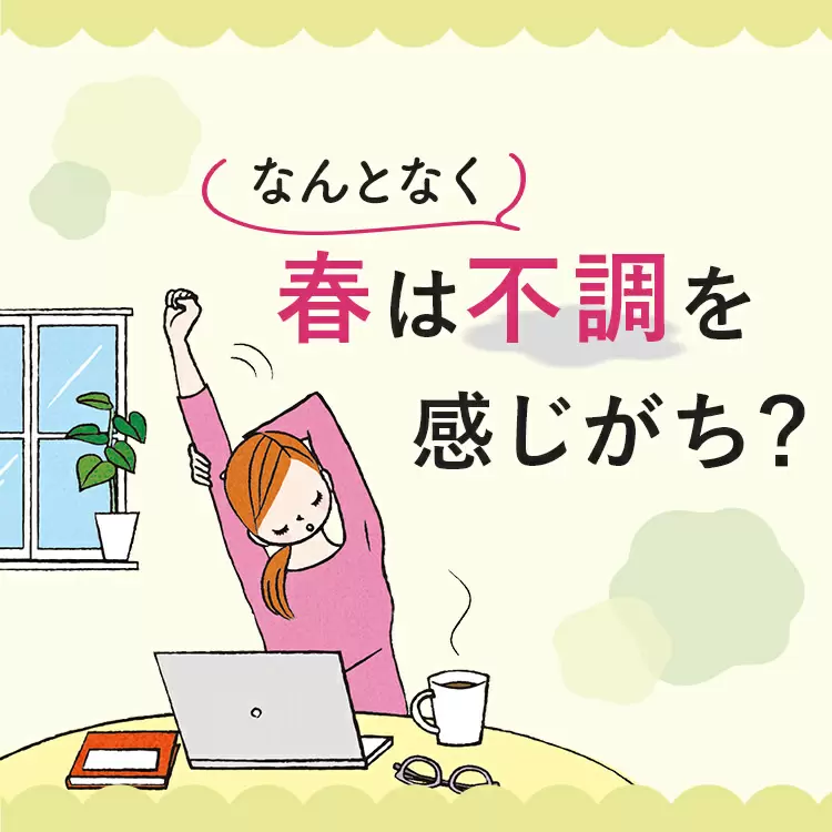 ファンケルクリップのサムネイル