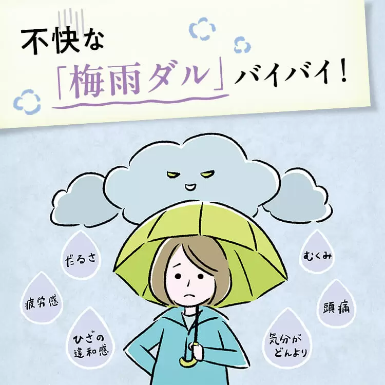 ファンケルクリップのサムネイル