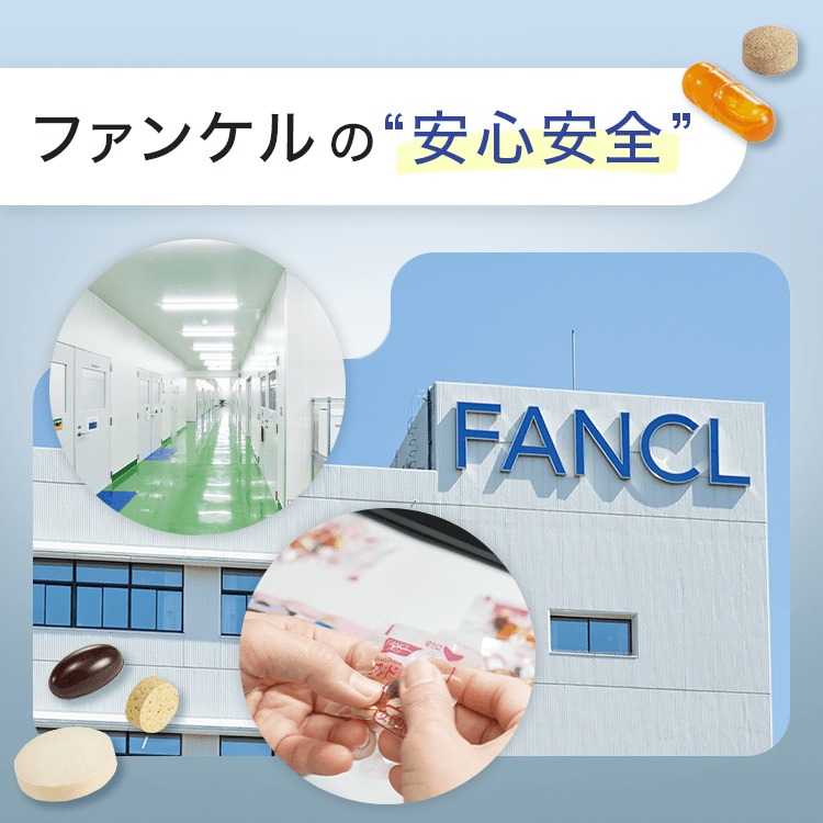 ファンケルクリップのサムネイル