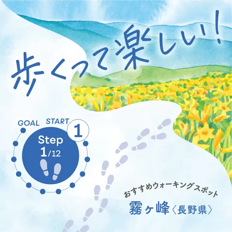 ファンケルクリップのサムネイル