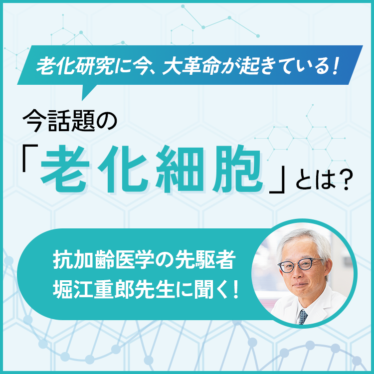 ファンケルクリップのサムネイル